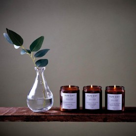 Beyond the Pines Scented Botanical Candle | The Collaborative Store