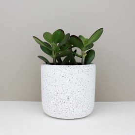 Medium Jesmonite Pot in White | The Collaborative Store