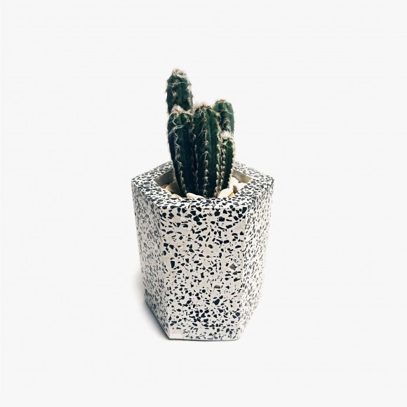 Hexagonal Terrazzo Pot | The Collaborative Store