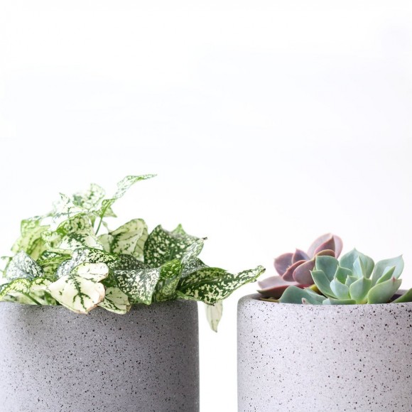 Medium Jesmonite Pot in White | The Collaborative Store